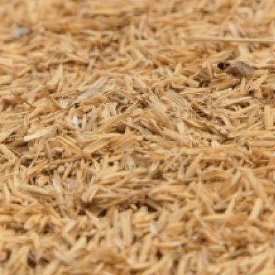 Rice Bran